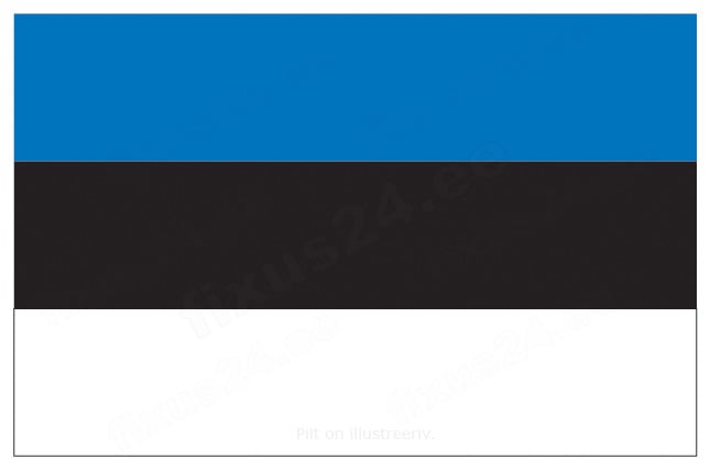 Eesti lipp kleebis 111x70mm