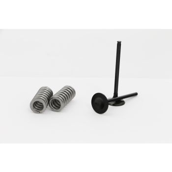 VALVE KIT EXH HONDA CRF250R 04