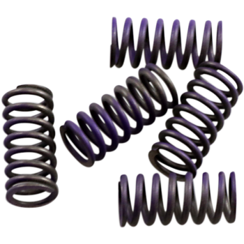 SPRINGS CLUTCH KIT