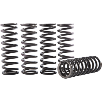 SPRING KIT CLUTCH HONDA
