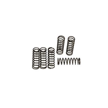 CLUTCH SPRING SET (6 PCS)