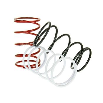 TRQ SPRING SET SPORT-3PCS
