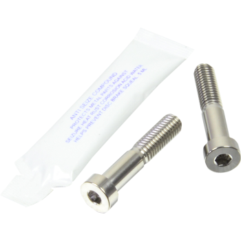 BRAKE CAL PIN RR BT TIT