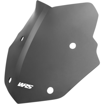 WSCRN ENDURO R1250GS DSMK