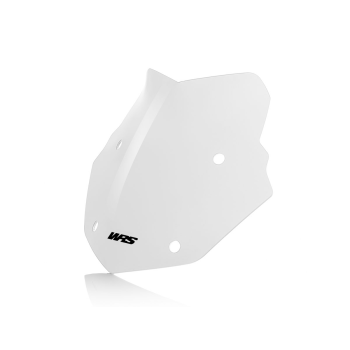 WSCRN ENDURO R1250GS CLR