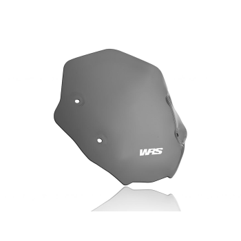 WSCRN SPORT R1250R DSMK
