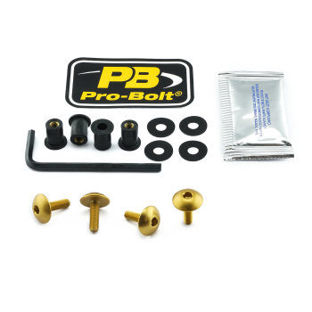 SCR KIT SCREEN 4 XL GD