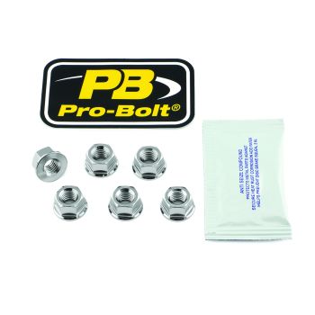 SPKT NUT SS 8X1.25 6