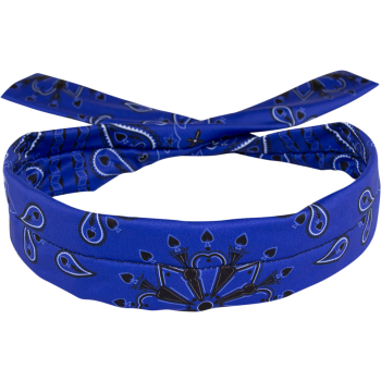 COOLDANNA POLY BL PAISLEY