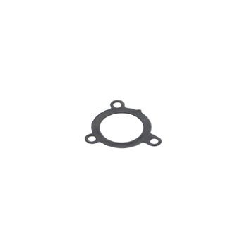 Winderosa Exhaust gasket