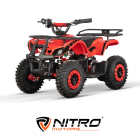 Laste ATV ECO Torino Sport 1000W, 36V, 6" Snow tire