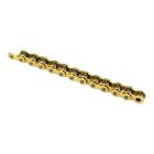 CHAIN NOSEAL 420X116 GOLD