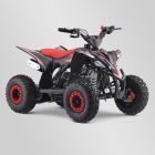 LASTE ATV SANO COBRA 110CC 2024