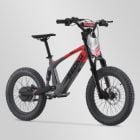 LASTE JA NOORUKITE TASAKAALURATAS SEDNA SX 18"