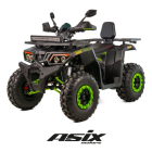 ATV Asix Ranger Steel 250cc