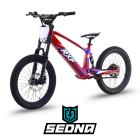 Laste tasakaaluratas Sedna EVO Racing 20 750W