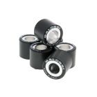 Malossi HT 19x17mm - 7.4g rullikud