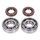 crankshaft bearing set Naraku SKF, FKM Premium C4 polyamide for Derbi EBE, EBS, D50B