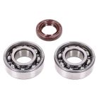 crankshaft bearing set Schmitt SKF, FKM Premium -C3- for Piaggio Ciao, Bravo, Boxer moped