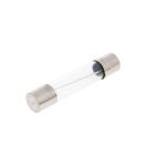 mikroklaasikaitse 30x6mm 10A