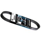 Dayco HPX 5004 drive belt