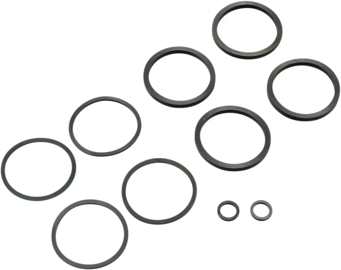 SEAL KIT CALIPER 00-07BT