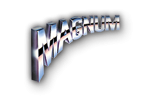 MAGNUM SHIELDING